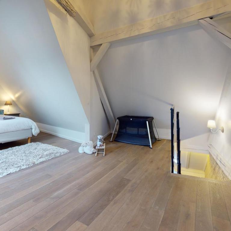 LE NID DE L'ILL, Magnifique Duplex Cosy Petite France - Appartamento Deluxe - 39