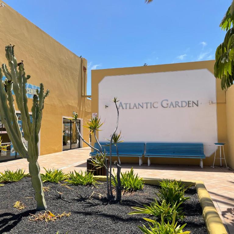 Seaside Apartment Corralejo : A cozy holiday home in a peaceful well located green complex - Apartamento con terraza - 18