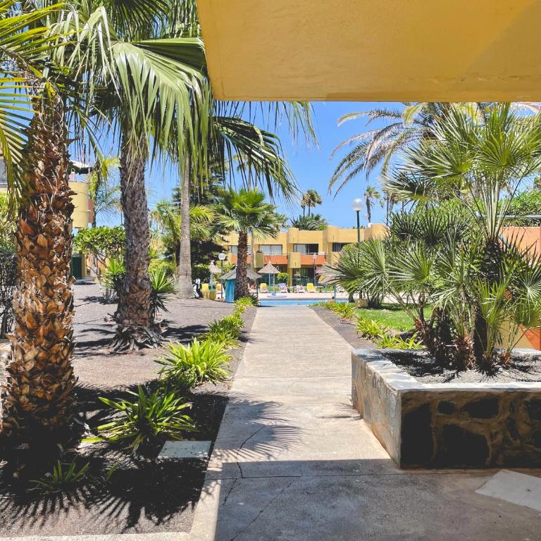 Seaside Apartment Corralejo : A cozy holiday home in a peaceful well located green complex - Apartamento con terraza - 12