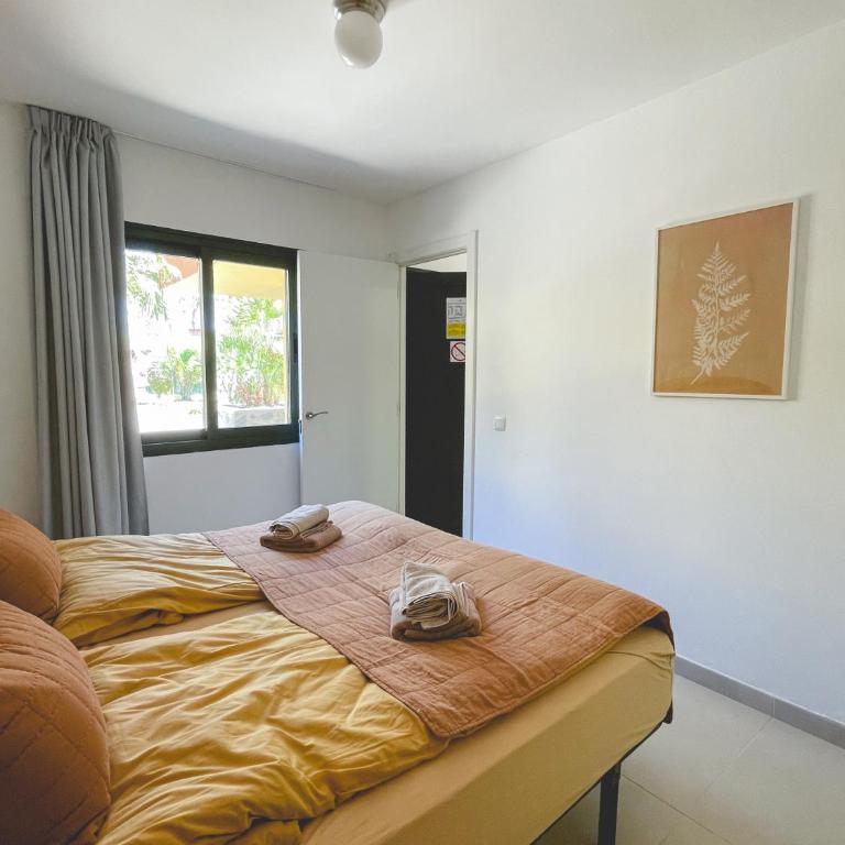 Seaside Apartment Corralejo : A cozy holiday home in a peaceful well located green complex - Apartamento con terraza - 10