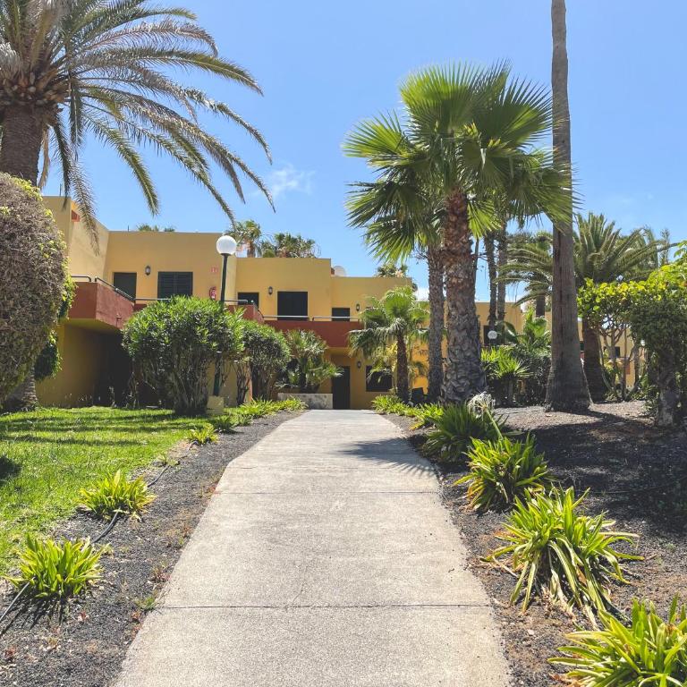 Seaside Apartment Corralejo : A cozy holiday home in a peaceful well located green complex - Apartamento con terraza - 13