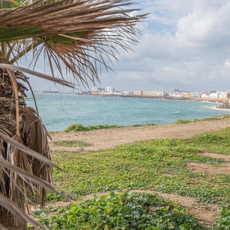 Apartamento La Luna Nueva en Cádiz - Apartamento de 2 dormitorios - 19