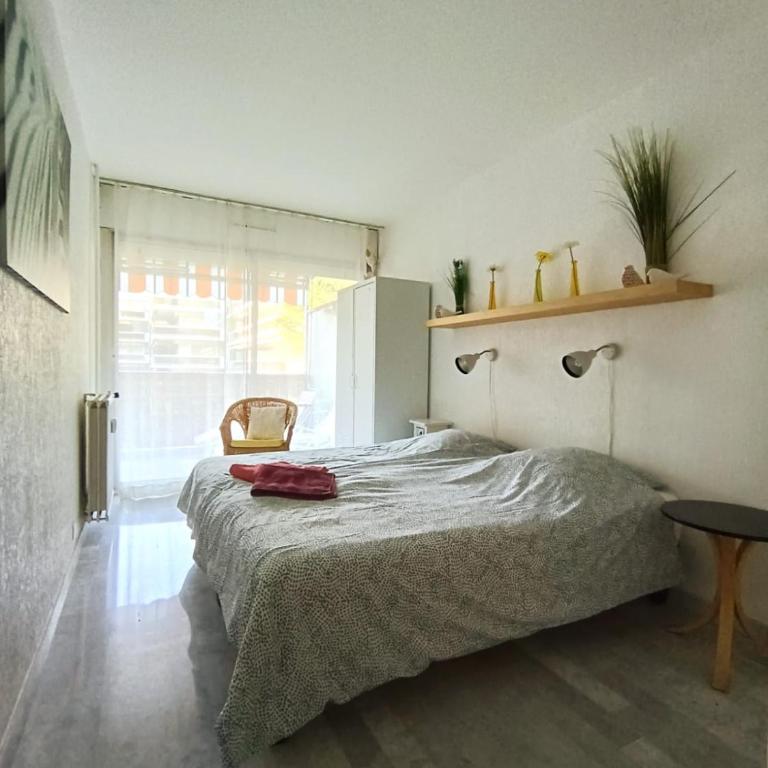 Tribuperez à Juan-Antibes - Apartamento - 9