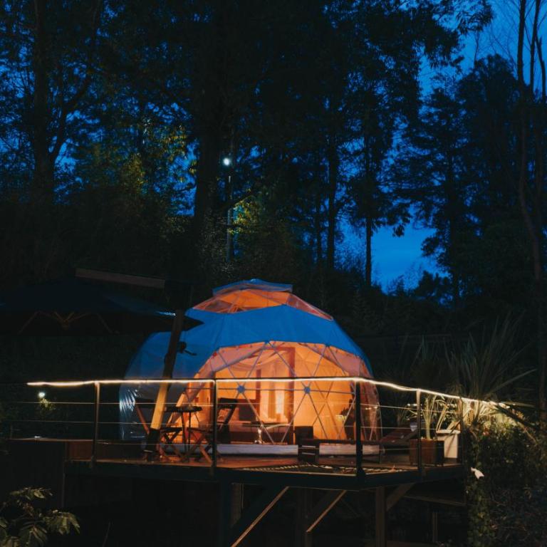 Domus Glamping Guatapé - Habitación Doble Deluxe con bañera - 18