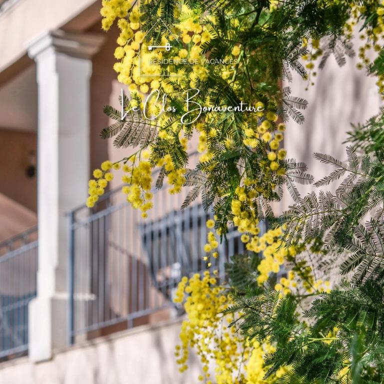 Dolce Vita Plage et St Tropez - 10 - Apartamento de 2 dormitorios con terraza - 18