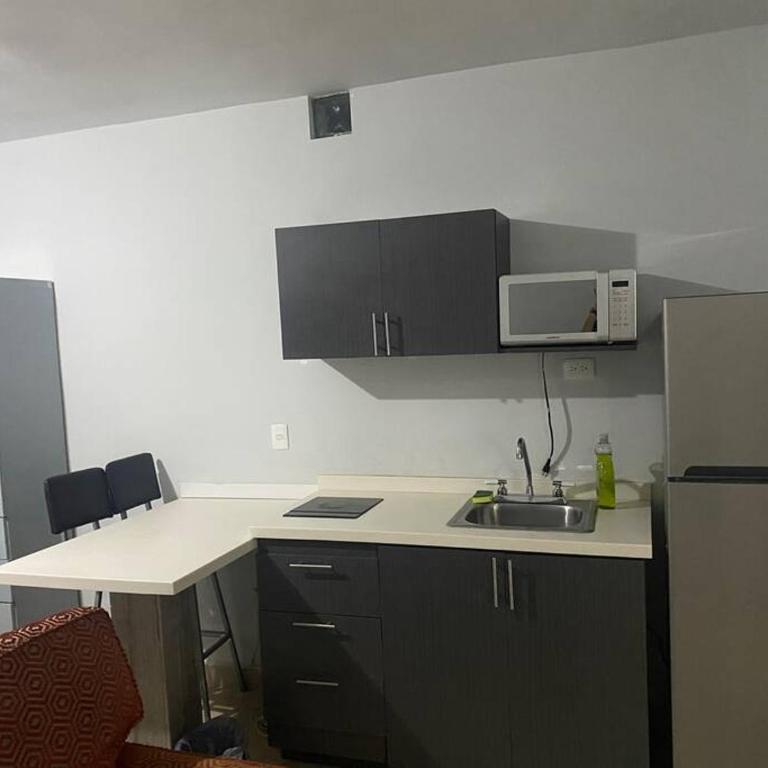 Loft Hermoso en Guadalupe BBVA - One-Bedroom Apartment - 1