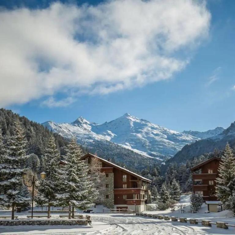 Charmant Duplex Calme Proche Pistes/Commerces avec Terrasse - FR-1-688-49 - Appartement - 14