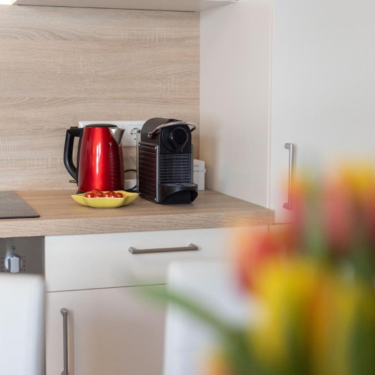 Der Hochkönigblick - Apartment mit 2 Schlafzimmern - 11