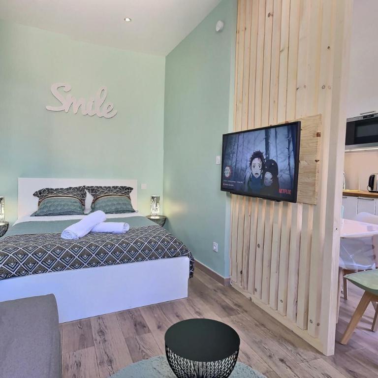 LE PALAIS DES PAPES - AVIGNONSMILE - Studio Apartment - 10