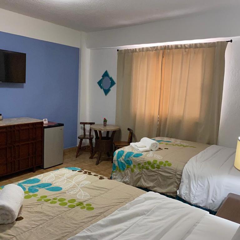 Cabo Tortuga Hotel Boutique - Habitación Individual Estándar Tokio - 4