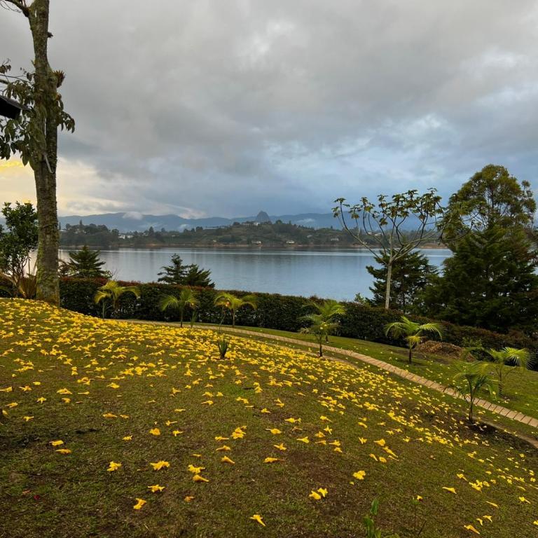 Casa de verano en Guatapé - Casa - 21