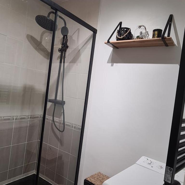 Appartement Face Mer au pied des commerces - Studio mit Meerblick - 14