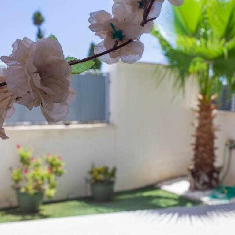 Bungalow Pink garden - Apartamento de 2 dormitorios - 37