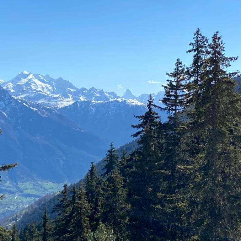 Brunnen Attika - Apartment - 29