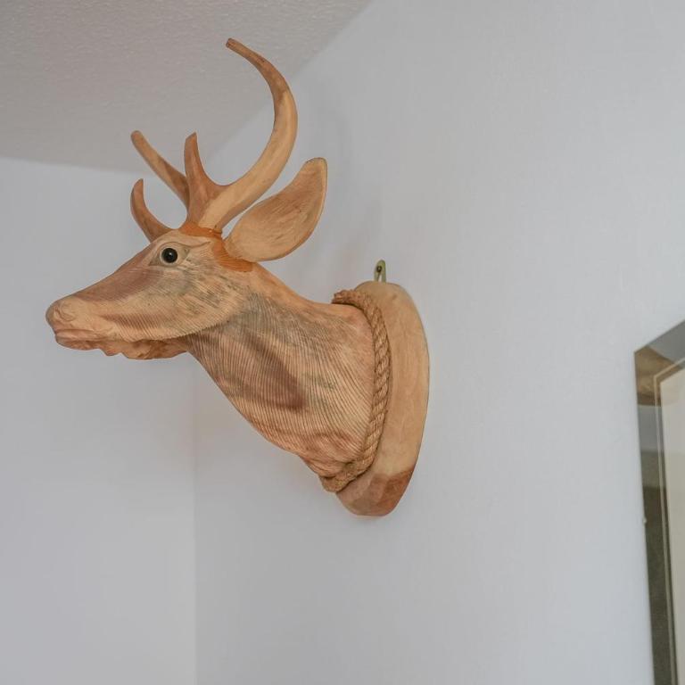 Riederhof 355 - Apartment - 2