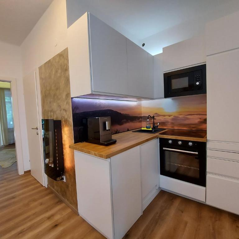 AusZeit Steiraland 3 mit überdachter Terasse privatem Garten und gratis Parkplatz - Appartamento con 1 Camera da Letto - 23