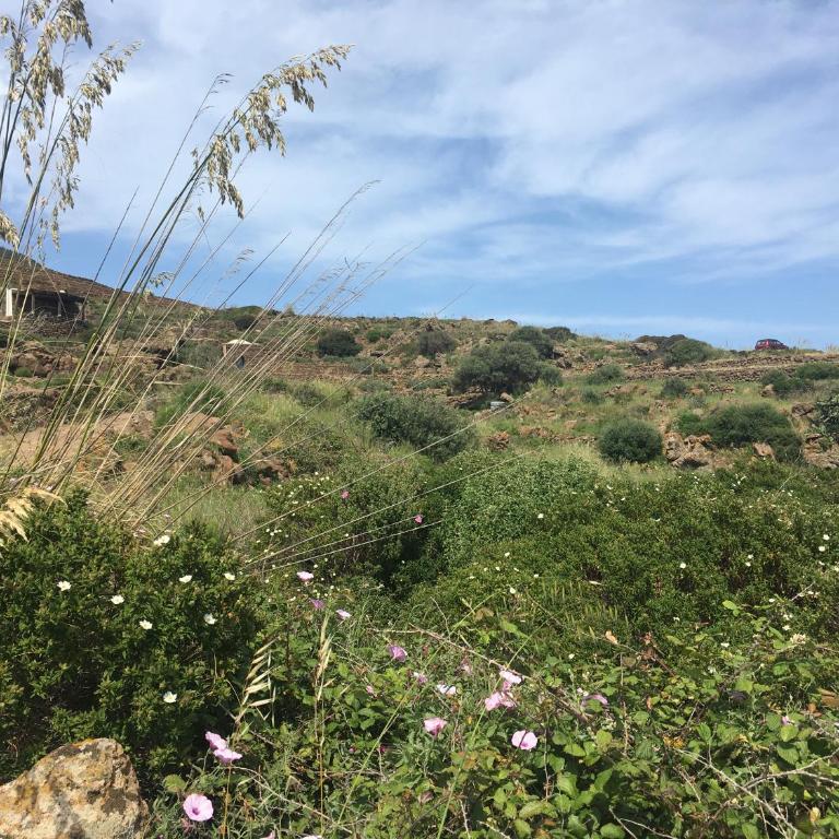 Dammusi IL SERRALH -Pantelleria- - Haus mit 1 Schlafzimmer - 4