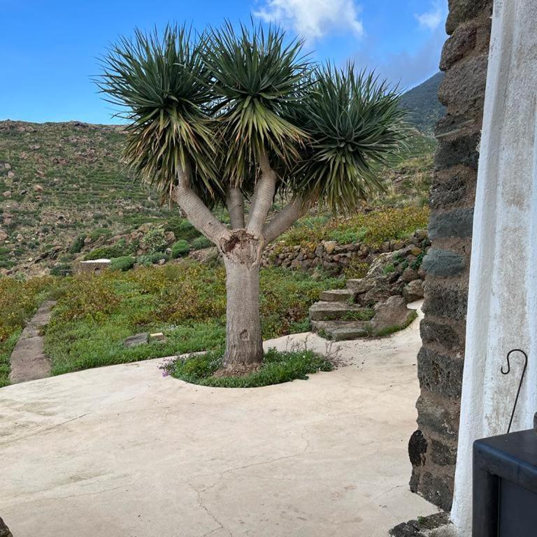 Dammusi IL SERRALH -Pantelleria- - Haus mit 1 Schlafzimmer - 13