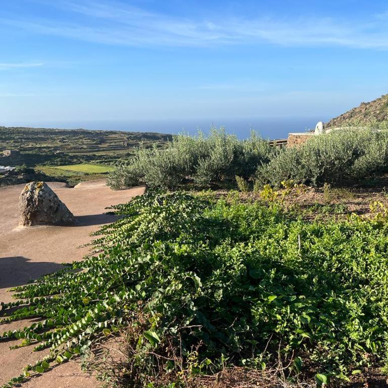 Dammusi IL SERRALH -Pantelleria- - Haus mit 1 Schlafzimmer - 20
