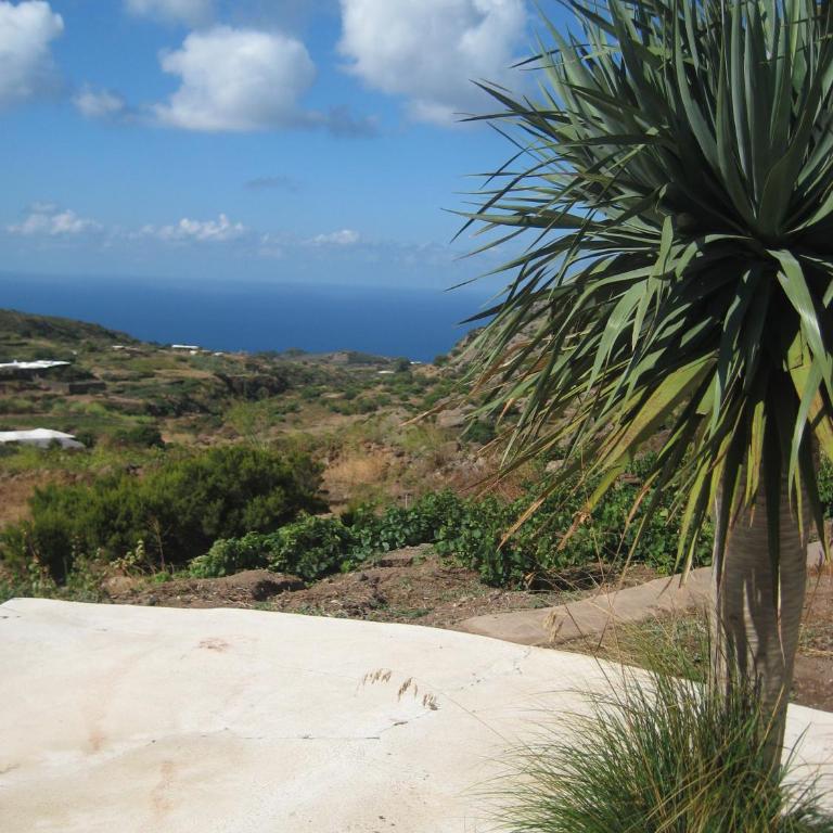 Dammusi IL SERRALH -Pantelleria- - Haus mit 1 Schlafzimmer - 31