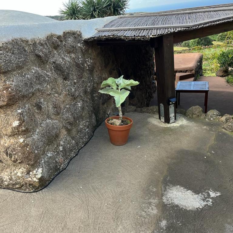 Dammusi IL SERRALH -Pantelleria- - Haus mit 1 Schlafzimmer - 39