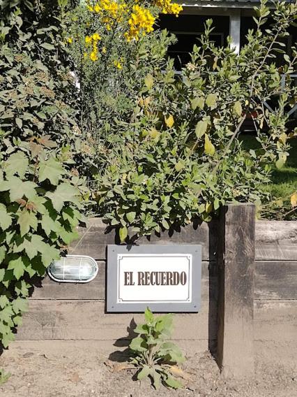 El Recuerdo - Apartamento de 1 dormitorio - 3