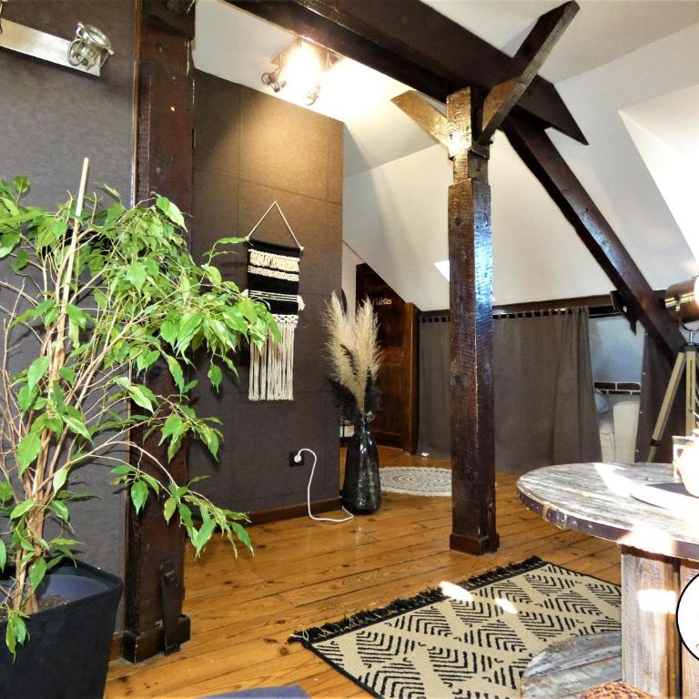 La Caze Paloise ~ Atypique ~ 100% Fonctionnel - Appartement 1 Chambre - 6