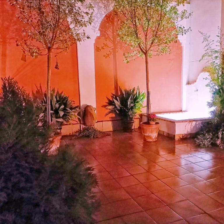 Ziza - Apartamento - 37