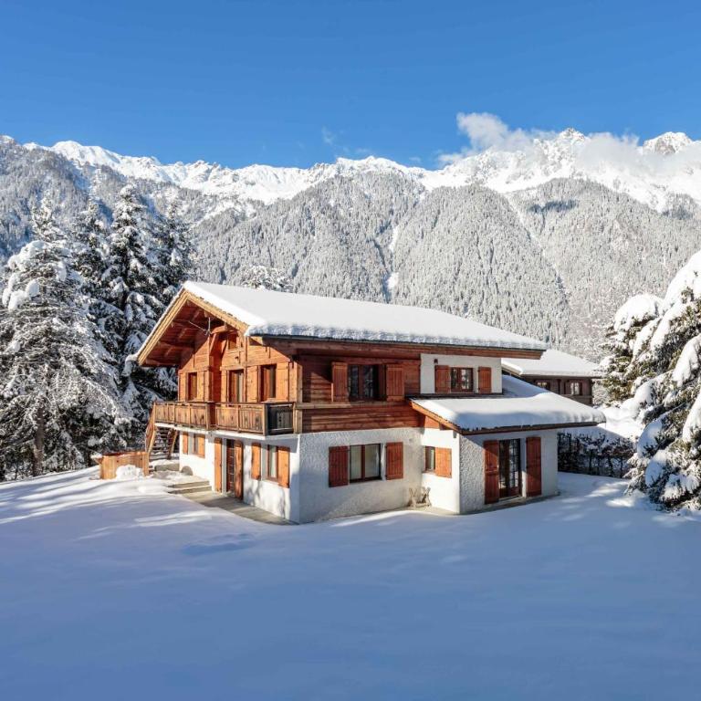 Chalet le Tricouni - Chalet - 1