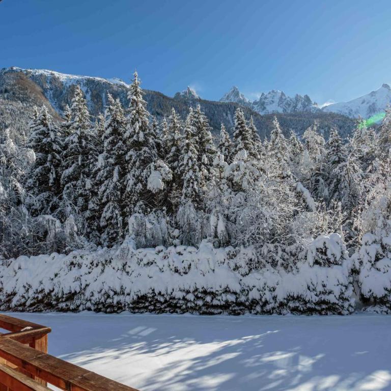 Chalet le Tricouni - Chalet - 7