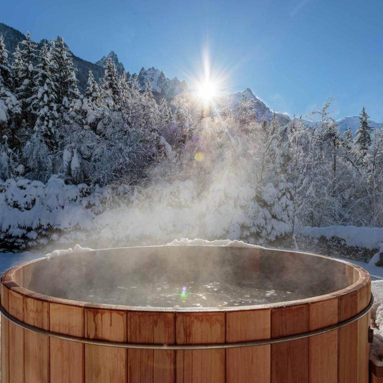 Chalet le Tricouni - Chalet - 9