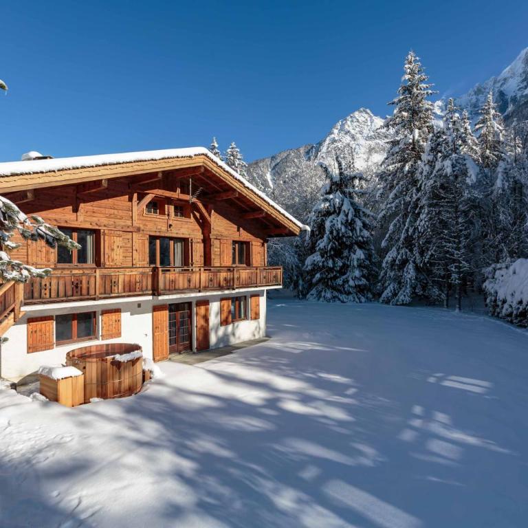Chalet le Tricouni - Chalet - 17