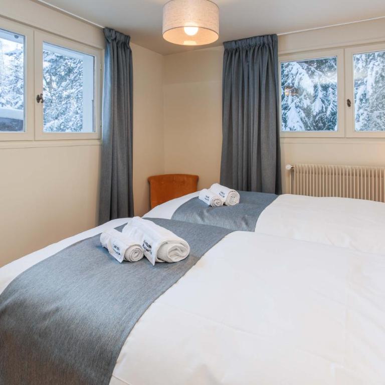 Chalet le Tricouni - Chalet - 26