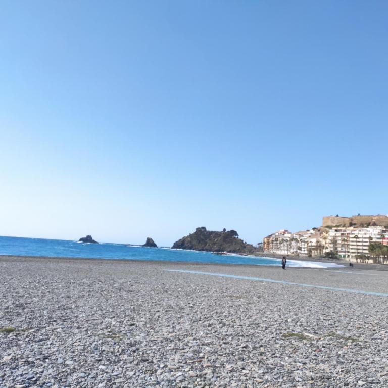 LAURAMAR CENTRICO - Apartamento de 1 dormitorio - 25