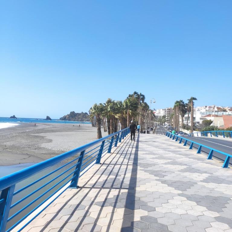LAURAMAR CENTRICO - Apartamento de 1 dormitorio - 27