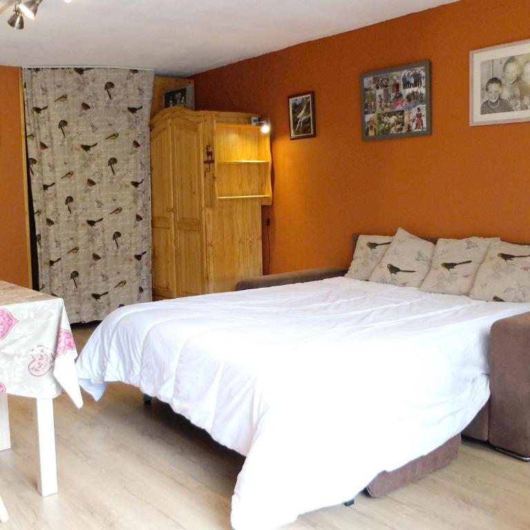 Studio ski aux pieds, balcon, animaux admis - FR-1-502-458 - Monolocale - 4