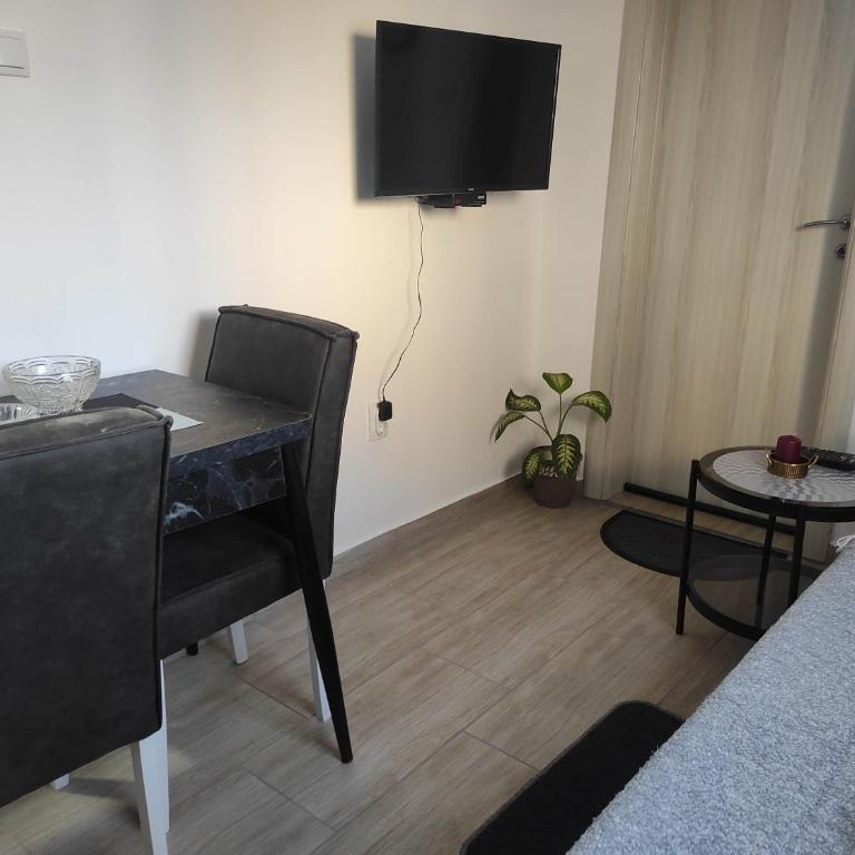 Andrea Airport Apartments - Studio s King-sajz Krevetom i Sofom na Izvlačenje - 5
