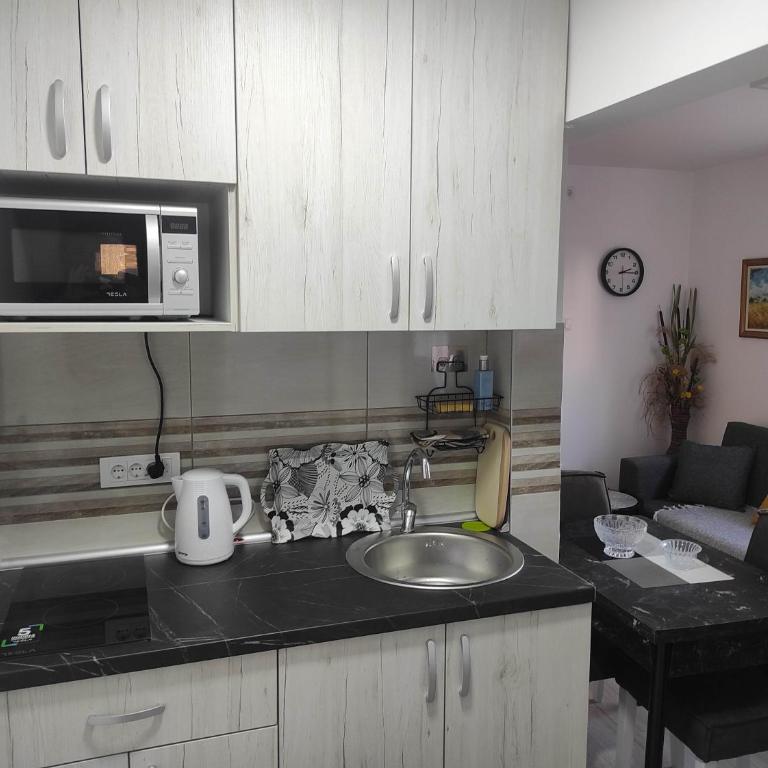 Andrea Airport Apartments - Studio s King-sajz Krevetom i Sofom na Izvlačenje - 4