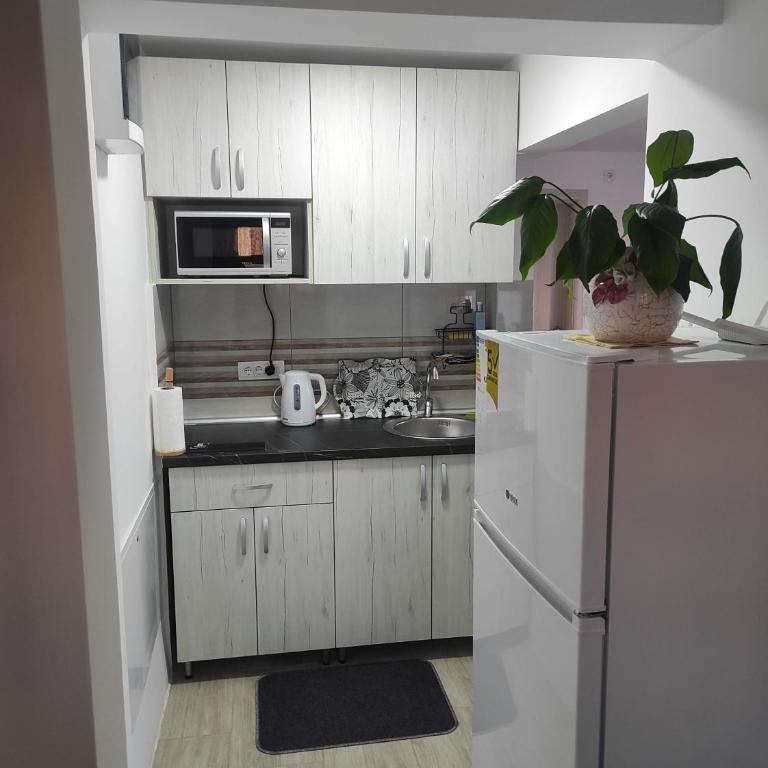 Andrea Airport Apartments - Studio s King-sajz Krevetom i Sofom na Izvlačenje - 3