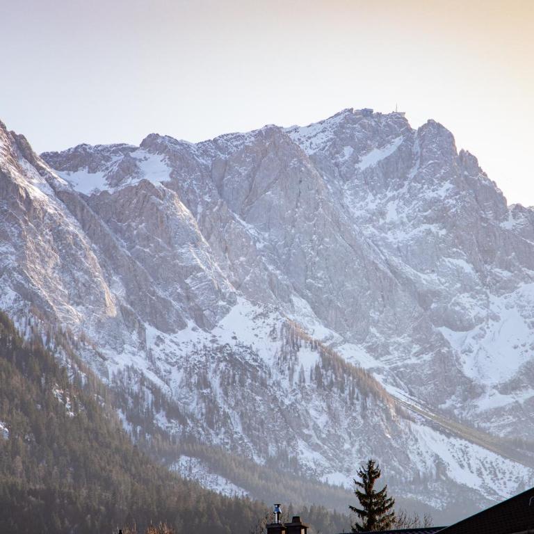 Alpenrose - Apartment mit Blick auf die Berge - 30