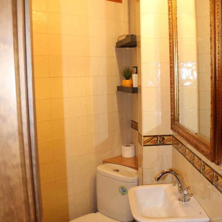 Apartamentos Coliseo - Living Toledo - Apartamento con balcón - 7