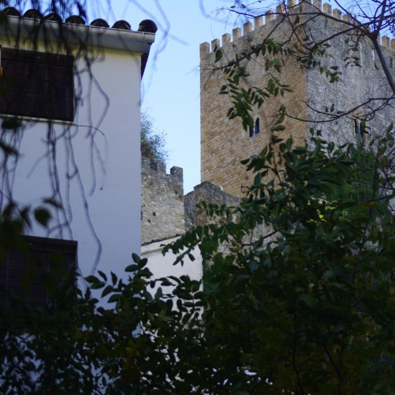Vivienda Rural Rio Cerezuelo - Apartamento - 63