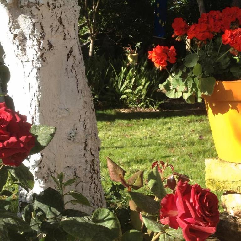 Zagara di Sicilia - Casa Vacanze - 6