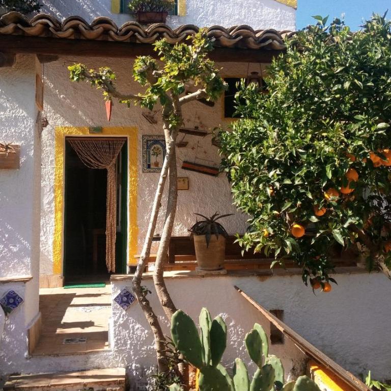 Zagara di Sicilia - Casa Vacanze - 34