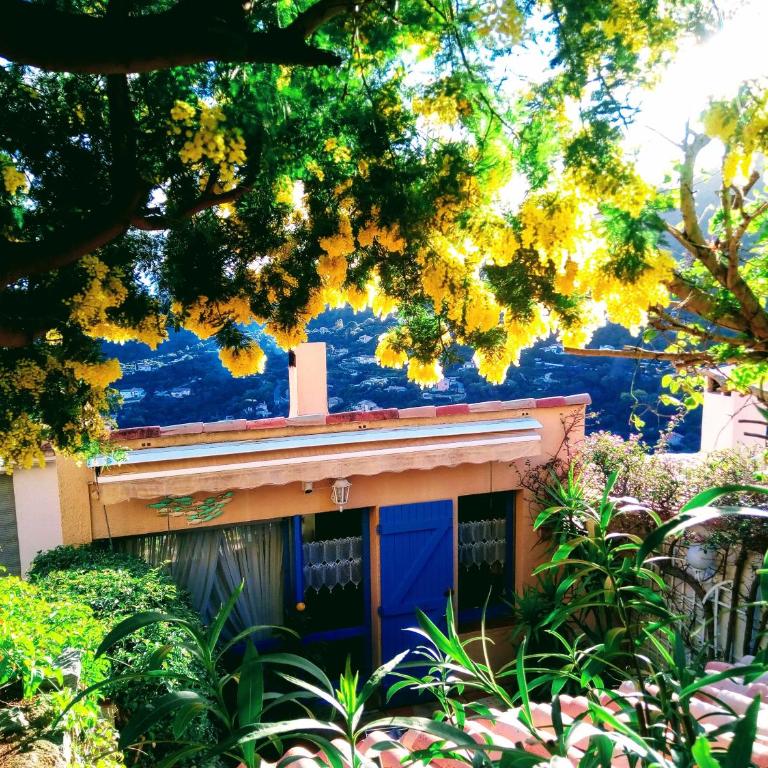 NOUVEAU ! Chambre d'Hôte Insolite PRIVEE " CŒURS DE PIRATES à BALI EN PROVENCE" SPA SAUNA MASSAGES dans cadre EXOTIQUE d'Aménagements EXTÉRIEURS D'EXCEPTION ÉTÉ comme HIVER BIENVENUE !!! - Chambre Double - Vue sur Mer - 39