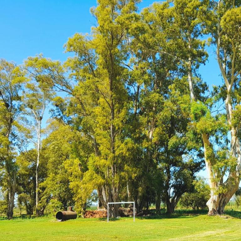 Casa de campo en Zapiola , Lobos, Buenos Aires. - Vacation Home - 33