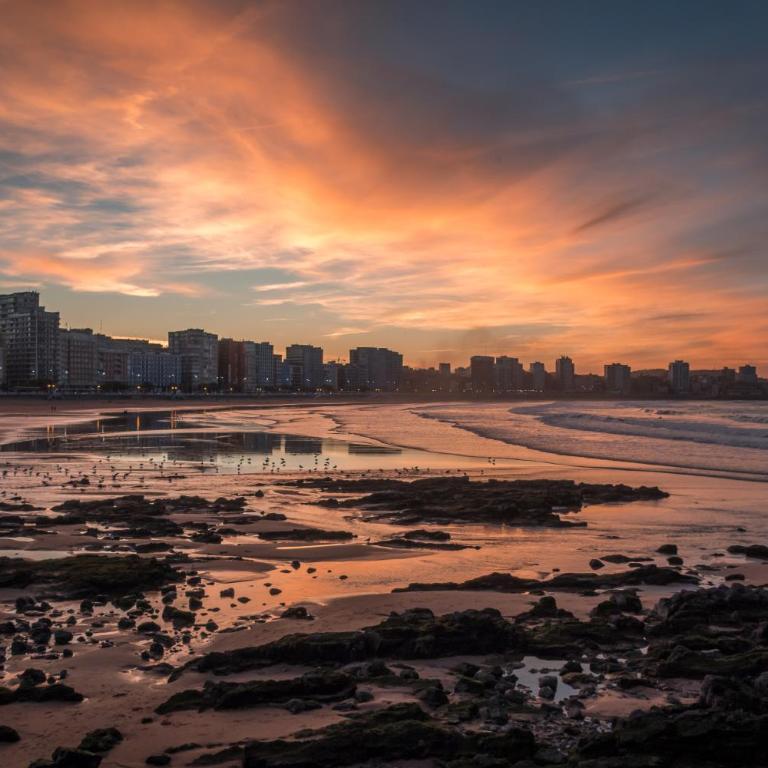 El Harapan, refúgiate en una selva a pie de playa - Apartamento de 1 dormitorio - 35