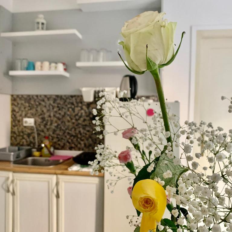 Star apartment 2 - Apartman sa 1 Spavaćom Sobom - 8