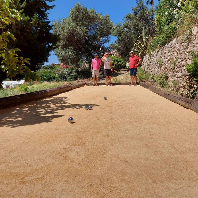 Mas Chamarel à Sanary-sur-Mer au milieu des vignes et oliviers - Villa - 3