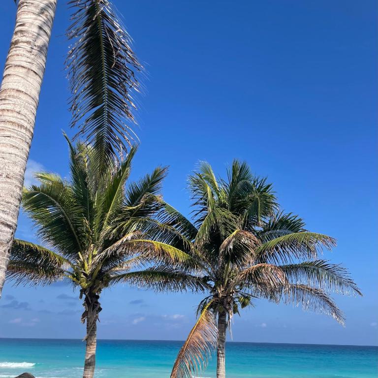 Suite Brisas Cancun - One-Bedroom Apartment - 21